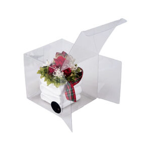 Clear Carton Packaging